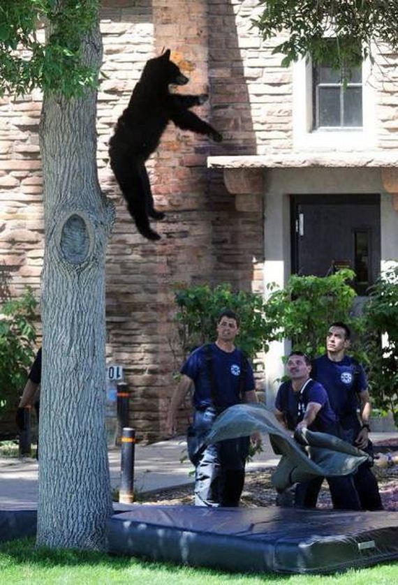funny-pictures-1011