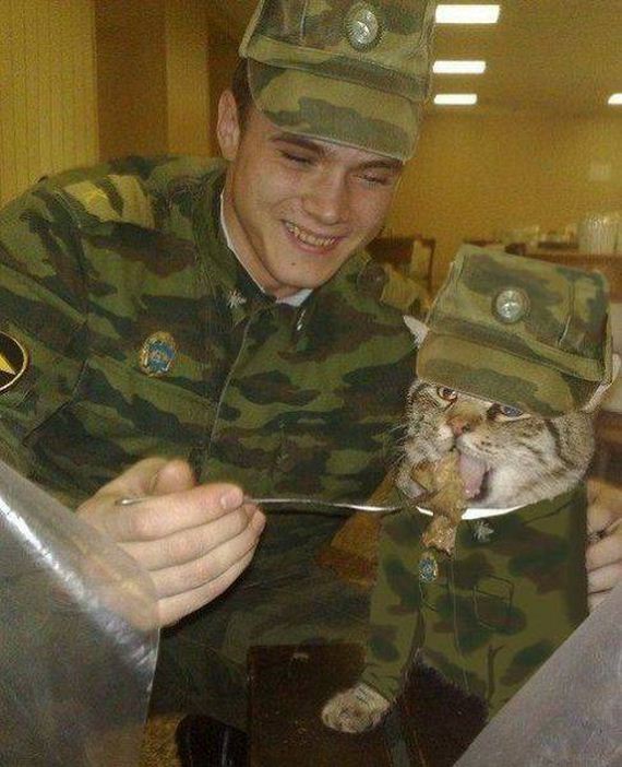 funny-pictures-1011