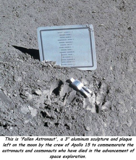 funny-pictures-1011
