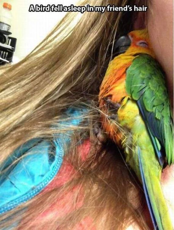 funny-pictures-1012