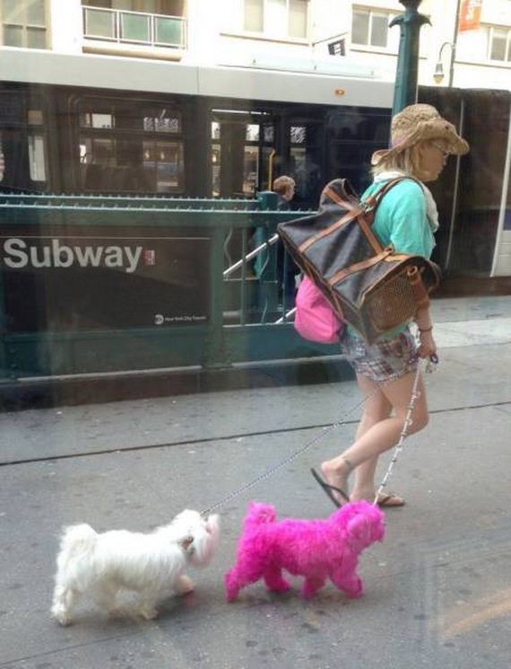 funny-pictures-1012