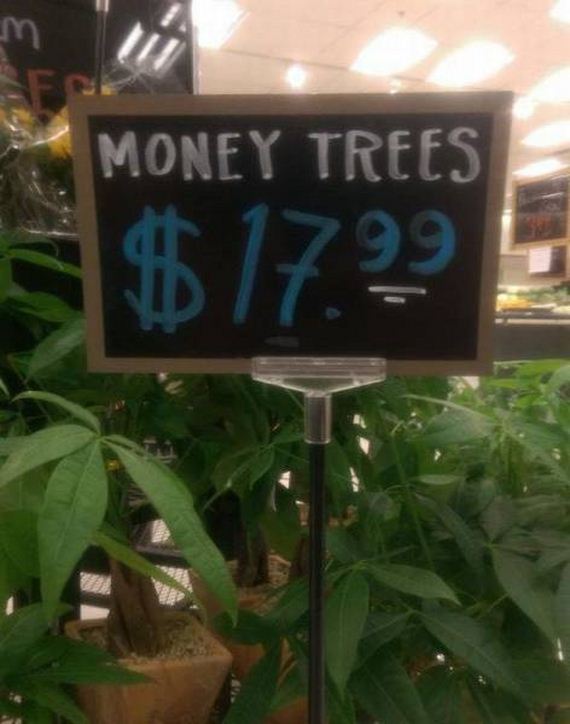 funny-pictures-1013