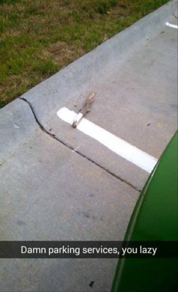 funny-pictures-1013