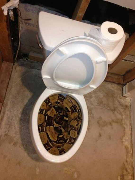 funny-pictures-1013