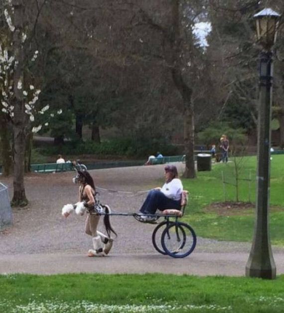 funny-pictures-1013