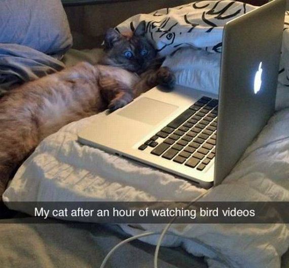 funny-pictures-1013
