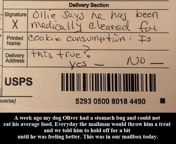 funny-pictures-1014
