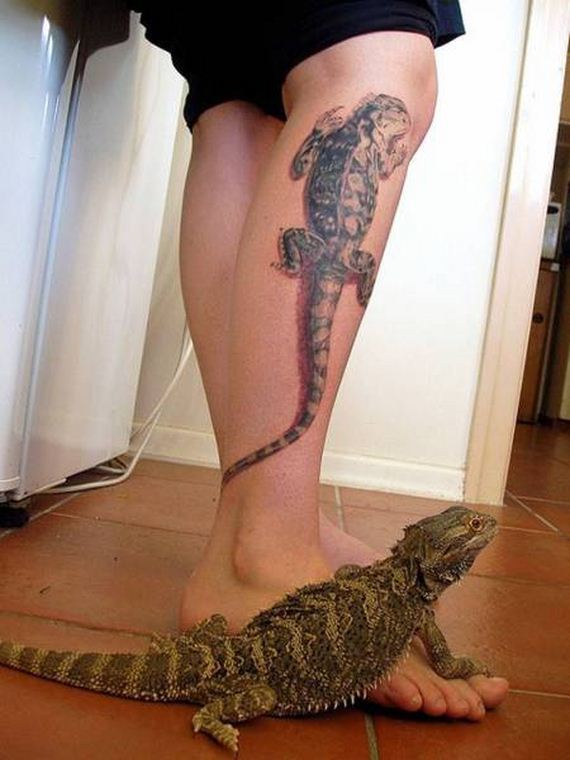 funny-pictures-1014