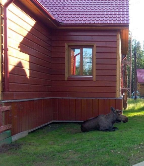 funny-pictures-1016