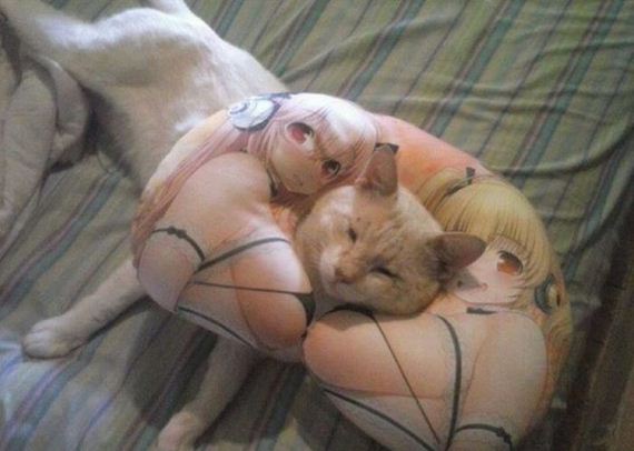 funny-pictures-1016