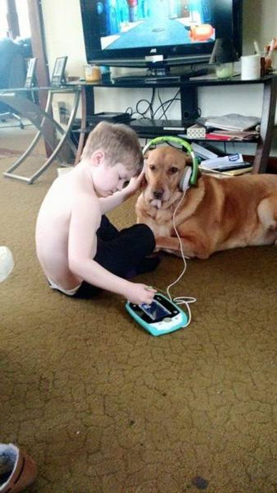 funny-pictures-1016
