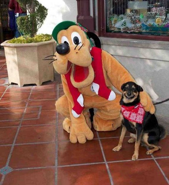 funny-pictures-1017