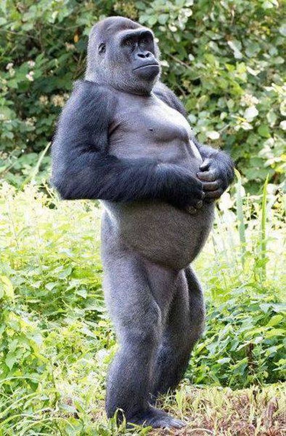 funny-pictures-1017