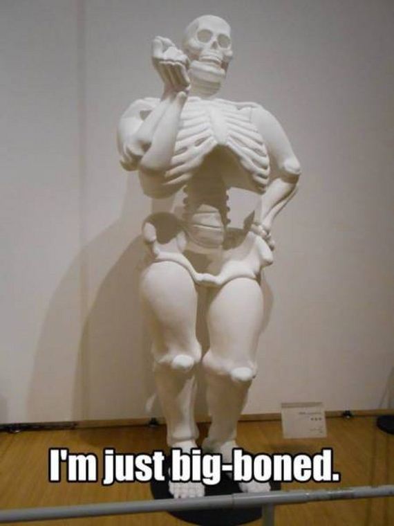 funny-pictures-1017