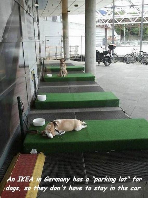 funny-pictures-1017