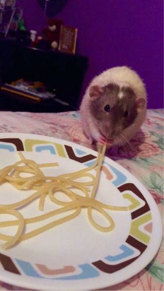 funny-pictures-1017