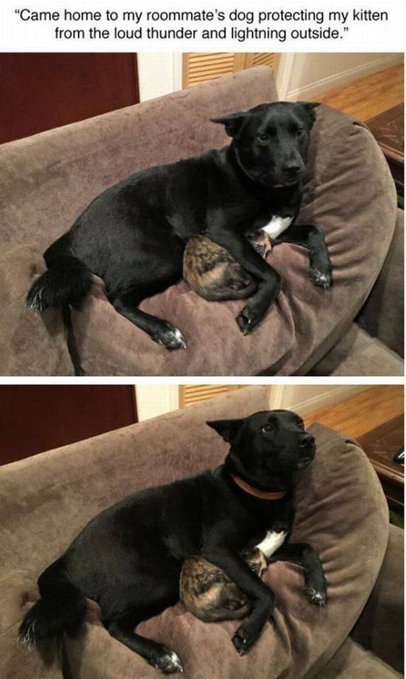 funny-pictures-1017