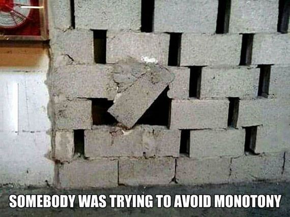funny-pictures-1018