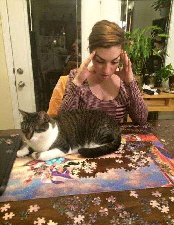 funny-pictures-1018