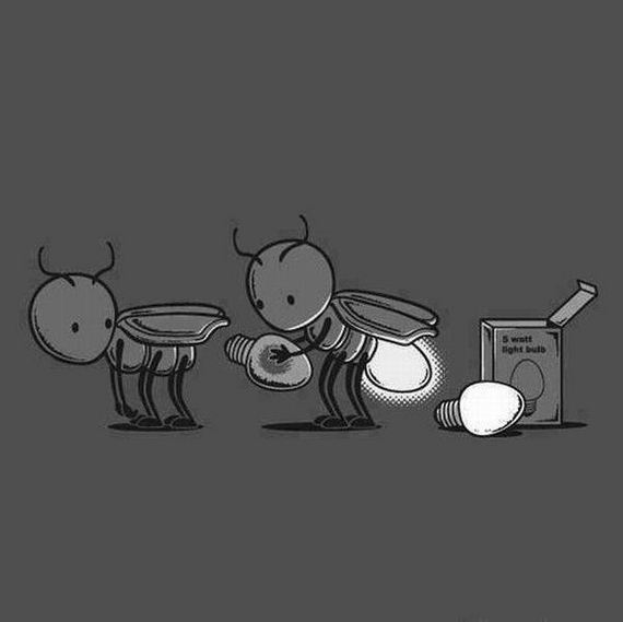 funny-pictures-1019
