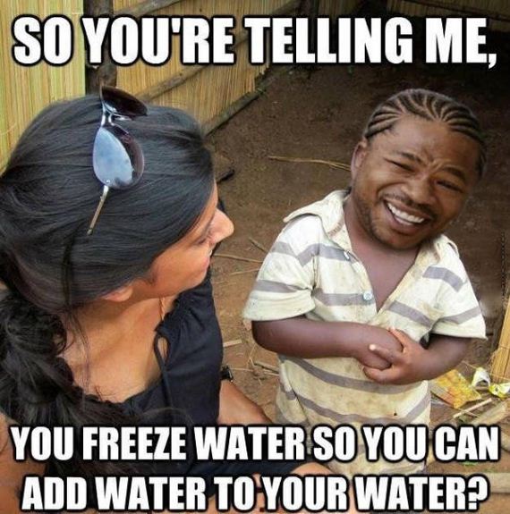 funny-pictures-1019