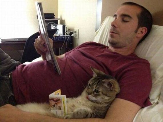 funny-pictures-1020