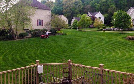 funny-pictures-1020