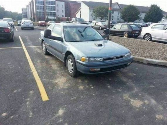 funny-pictures-1020
