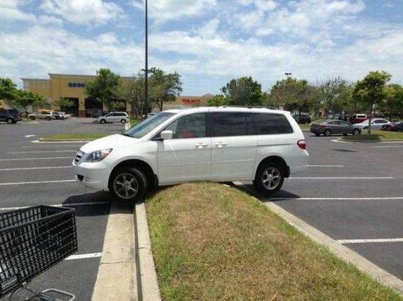 funny-pictures-1020