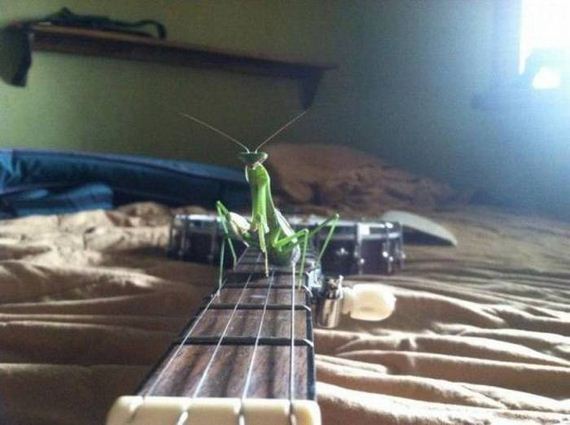 funny-pictures-1020