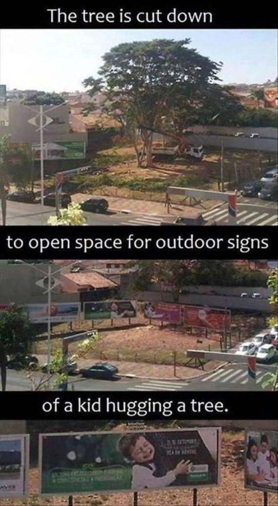 funny-pictures-1020