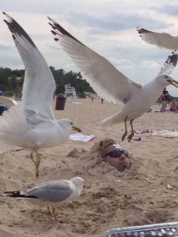 funny-pictures-1020
