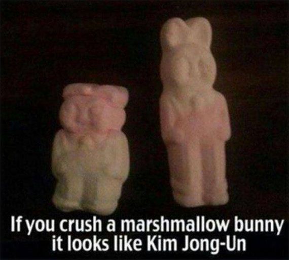 funny-pictures-1021