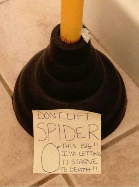 funny-pictures-1021
