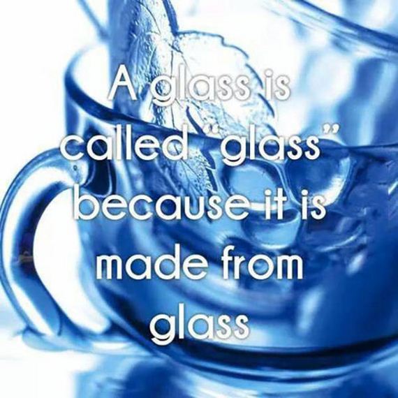 funny-pictures-1021