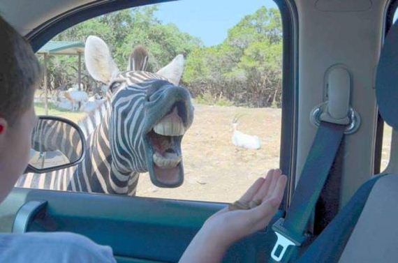 funny-pictures-1022
