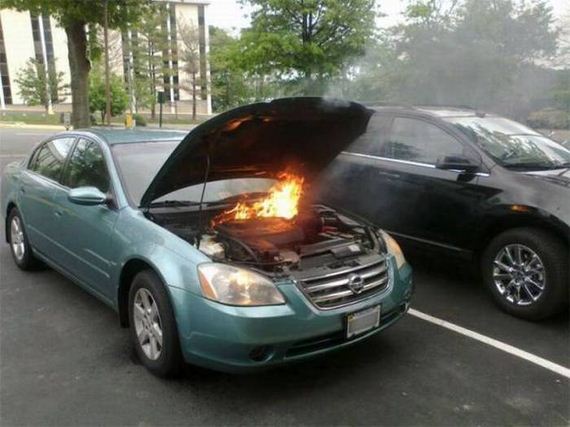 funny-pictures-1022