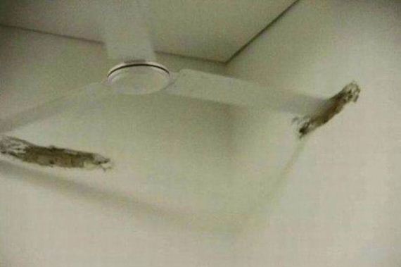 funny-pictures-1022