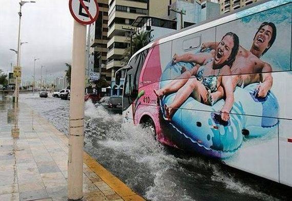 funny-pictures-1022
