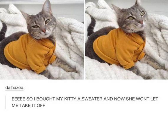 funny-pictures-1022
