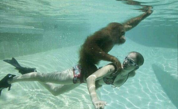 funny-pictures-1022