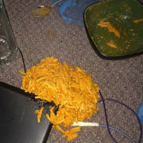 funny-pictures-1022