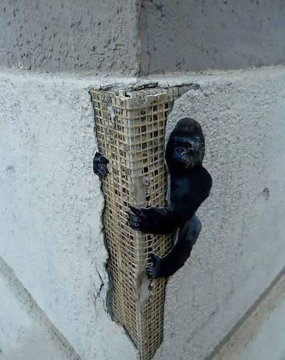 funny-pictures-1022