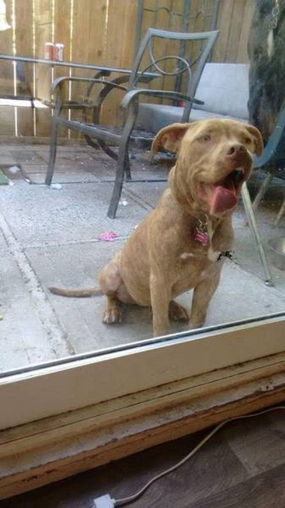 funny-pictures-1022