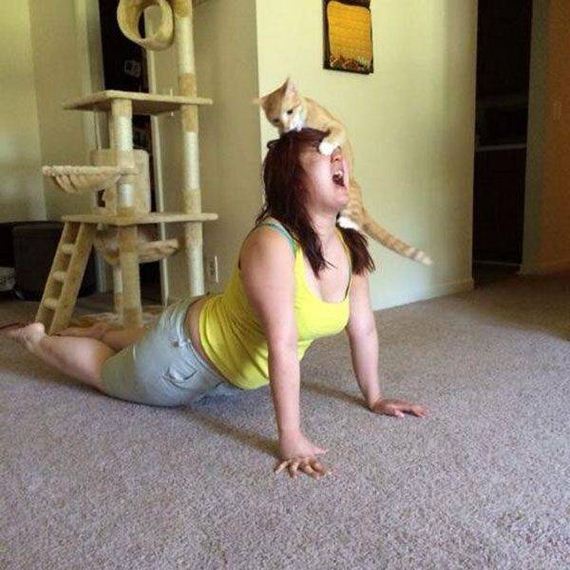 funny-pictures-1022