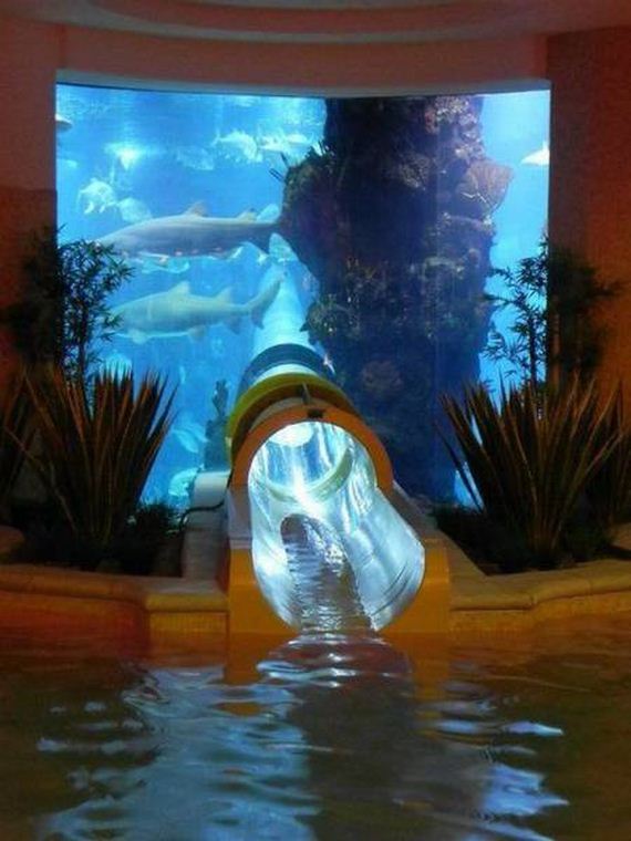 funny-pictures-1022