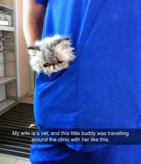 funny-pictures-1022