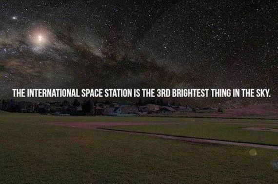 funny-pictures-1023
