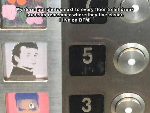 funny-pictures-1023