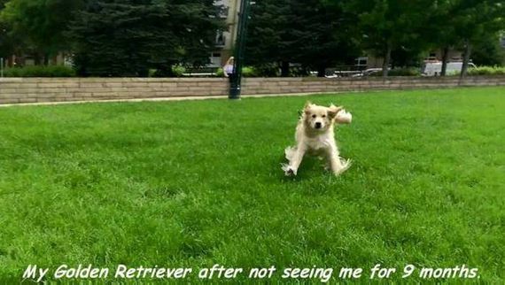 funny-pictures-1023